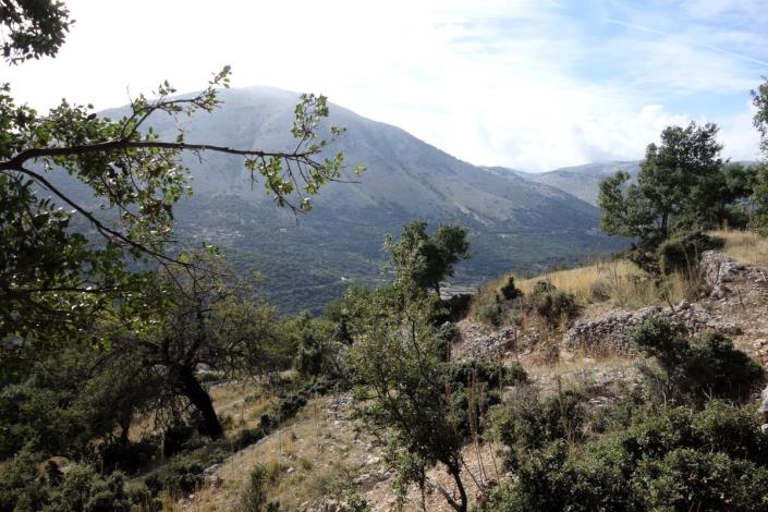 Image No.17-Terre à vendre à Dendrinata