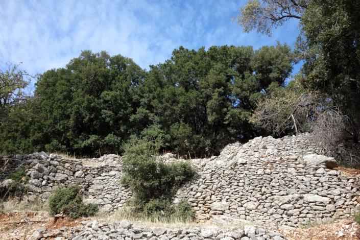 Image No.18-Terre à vendre à Dendrinata