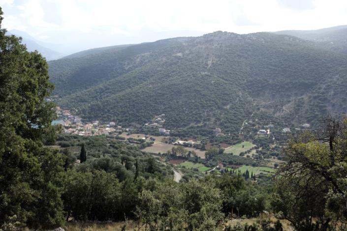 Image No.19-Terre à vendre à Dendrinata