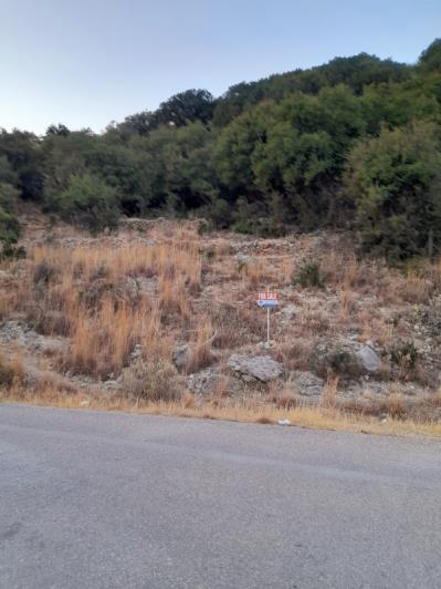 Image No.2-Terre à vendre à Dendrinata