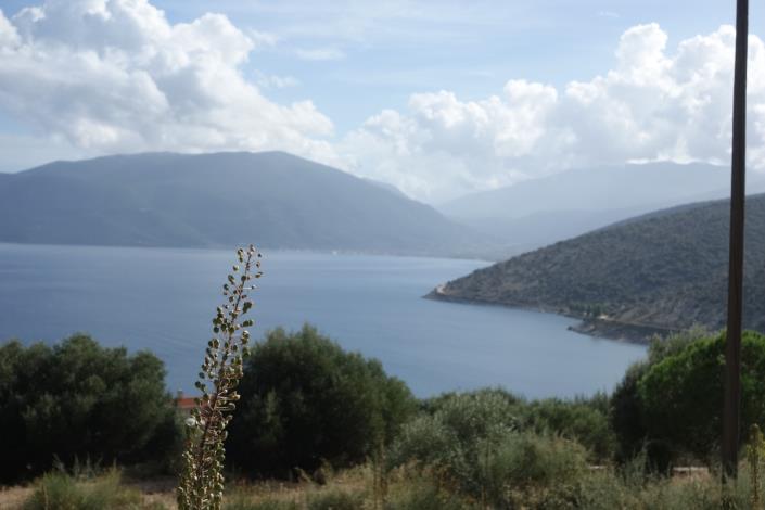 Image No.5-Land for sale