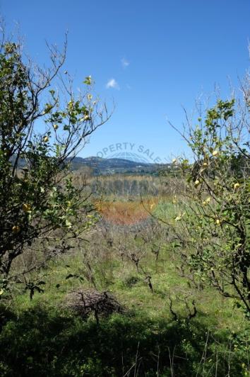 Image No.4-Land for sale