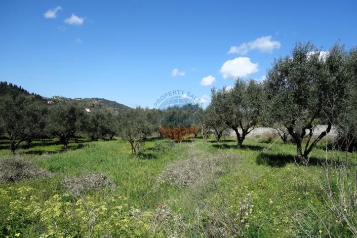 Image No.8-Land for sale