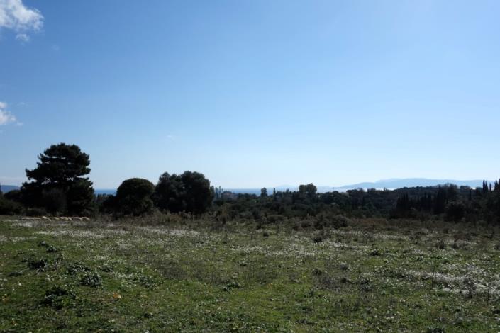 Image No.4-Terre à vendre à Klismata