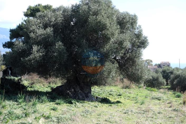 Image No.17-Terre à vendre à Klismata