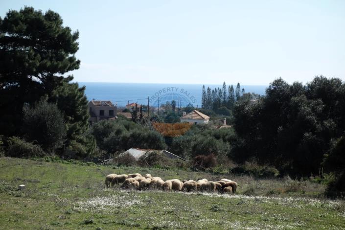 Image No.18-Terre à vendre à Klismata