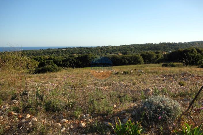 Image No.11-Land for sale