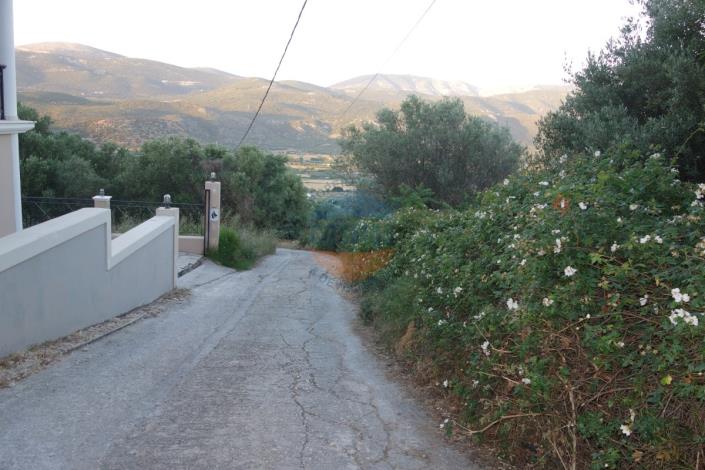 Image No.3-Plot for sale