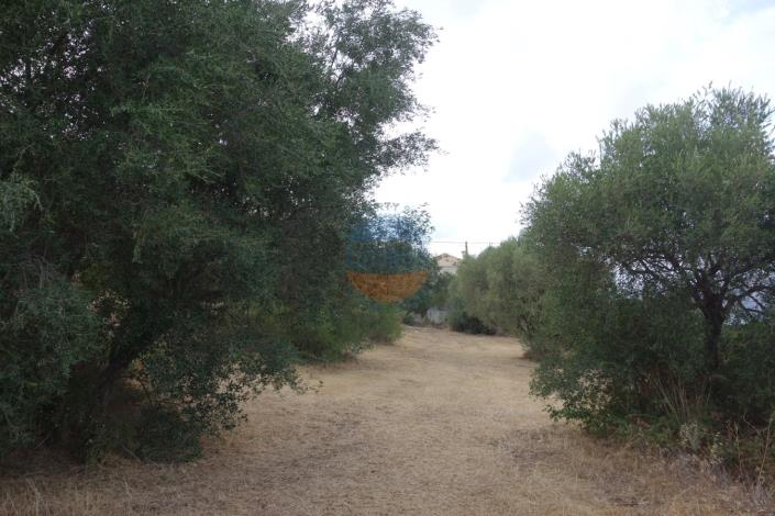 Image No.14-Plot for sale