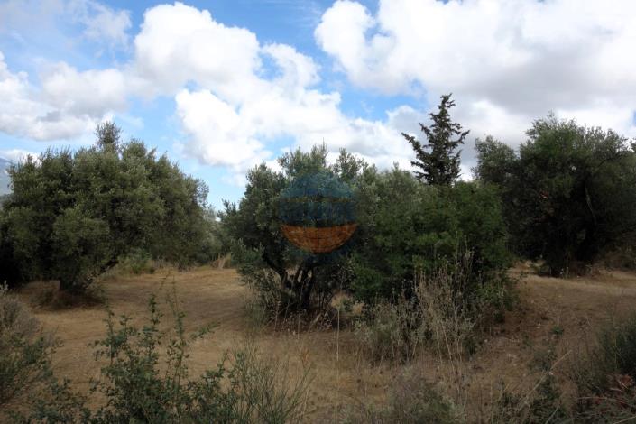 Image No.19-Plot for sale