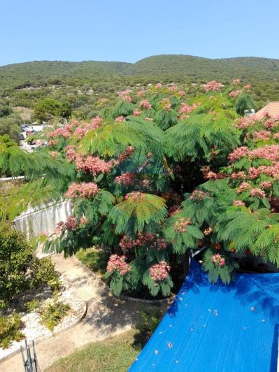 Image No.46-3 Bed House for sale