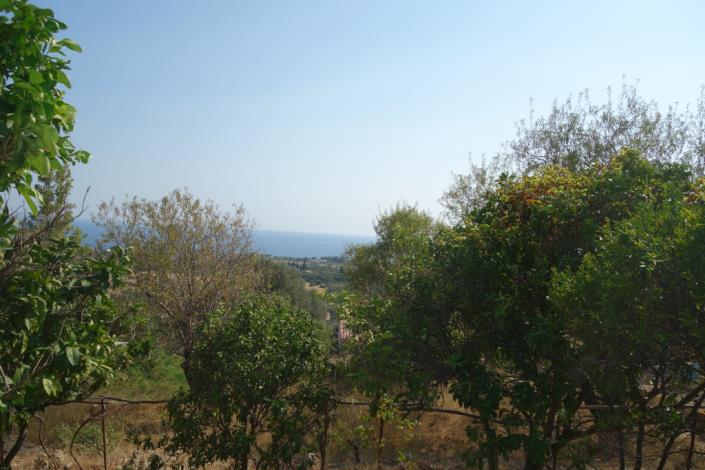 Image No.31-4 Bed House for sale