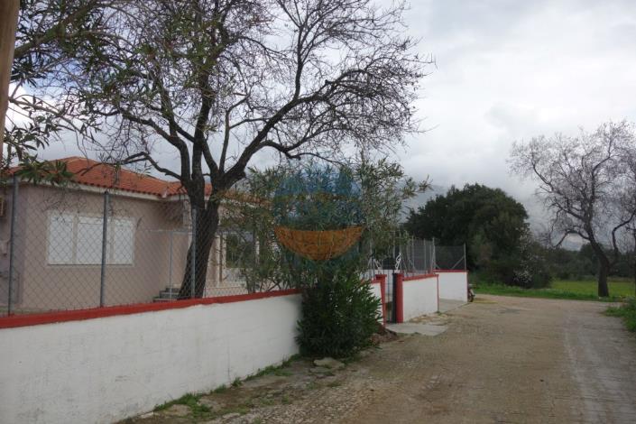 Image No.2-2 Bed House for sale