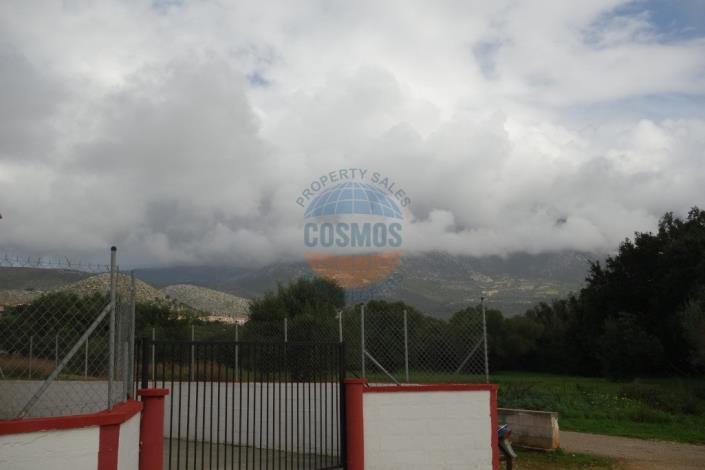 Image No.40-2 Bed House for sale