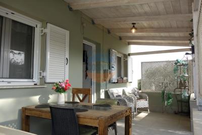 005_marked------------