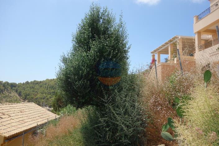 Image No.5-Plot for sale
