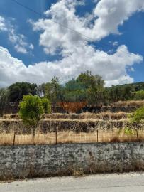 plot-for-sale-in-loukata