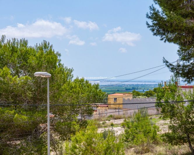 Image No.34-Villa de 4 chambres à vendre à Jacarilla