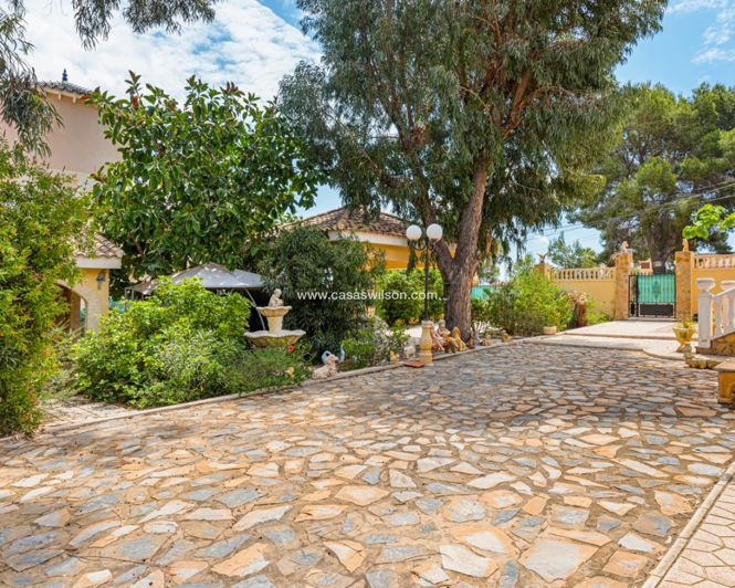 Image No.7-Villa de 4 chambres à vendre à Jacarilla