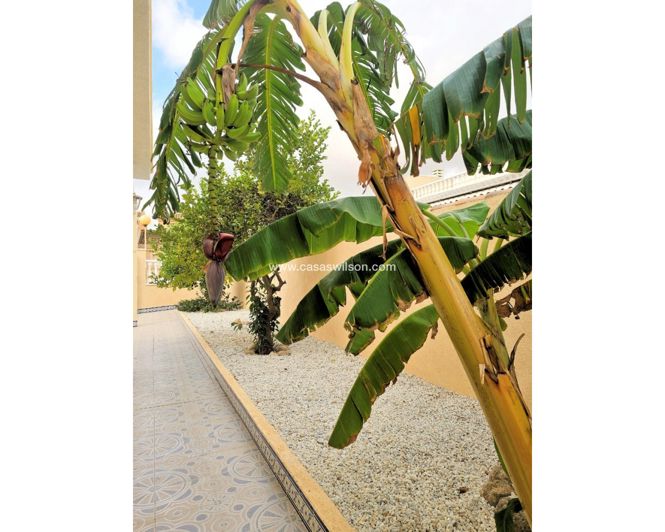 Image No.22-4 Bed Villa for sale