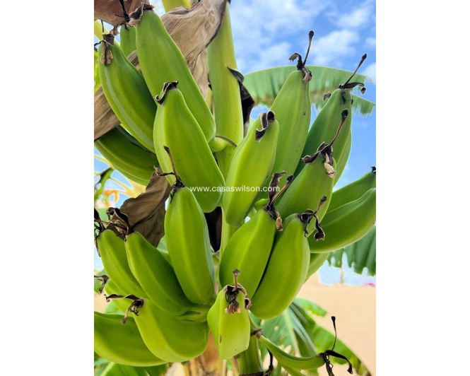 Image No.23-4 Bed Villa for sale