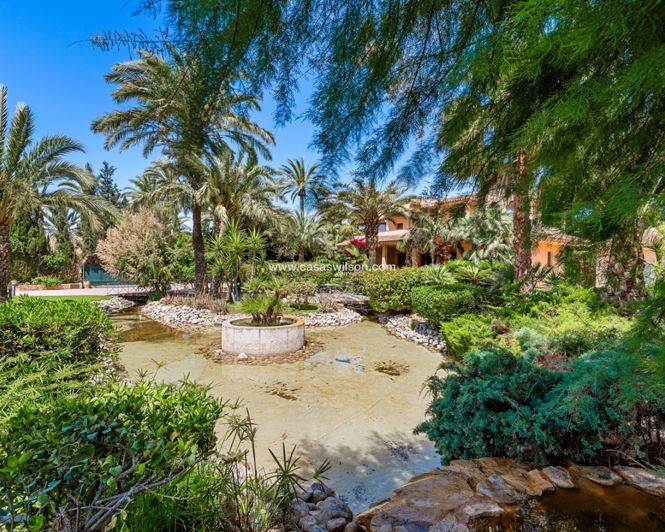 Image No.20-Villa de 5 chambres à vendre à Elche