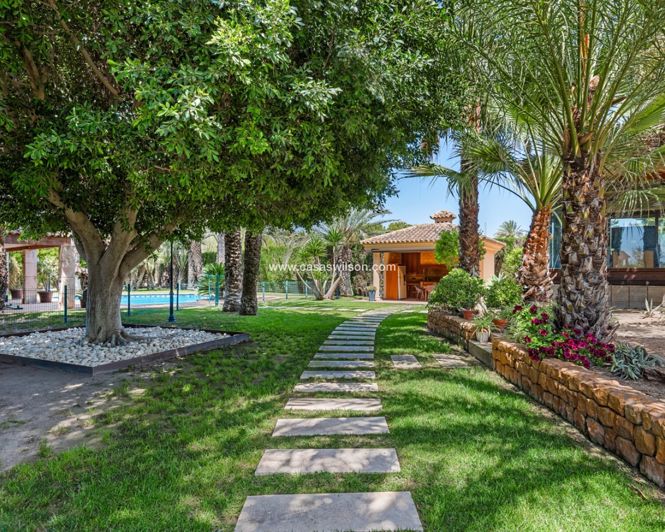 Image No.42-Villa de 5 chambres à vendre à Elche