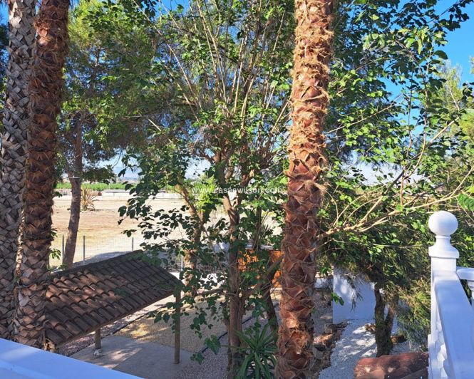 Image No.28-5 Bed Villa for sale