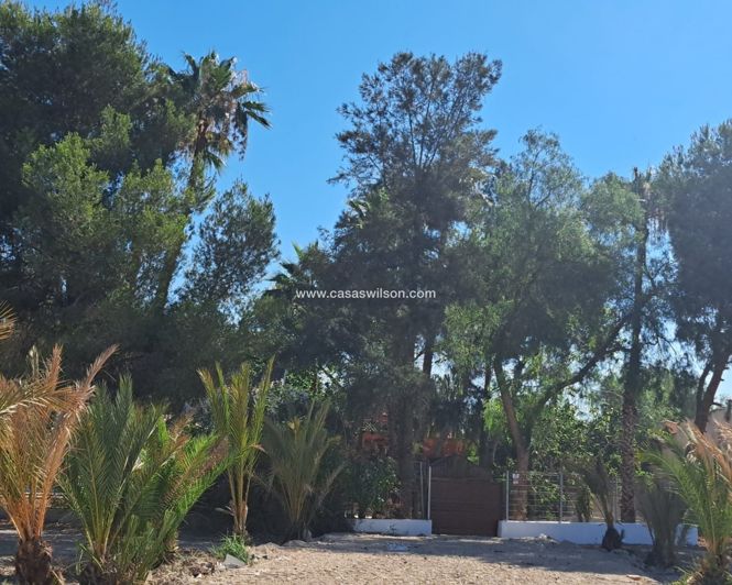 Image No.43-5 Bed Villa for sale