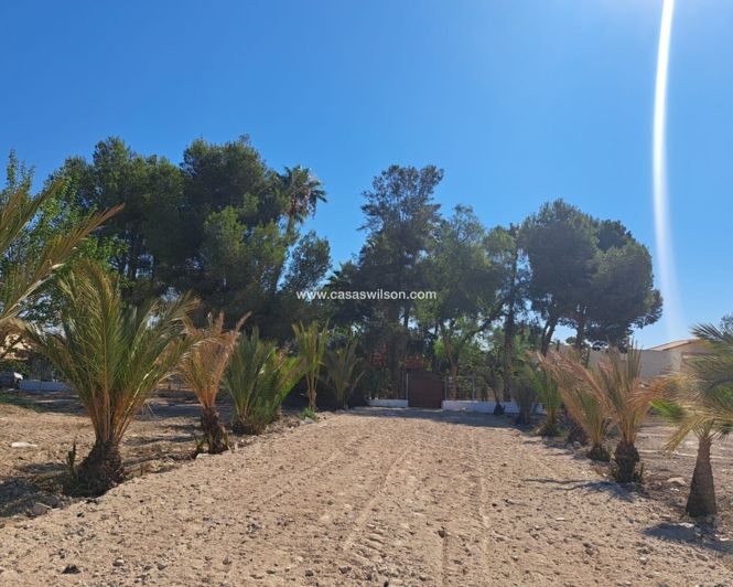 Image No.44-5 Bed Villa for sale