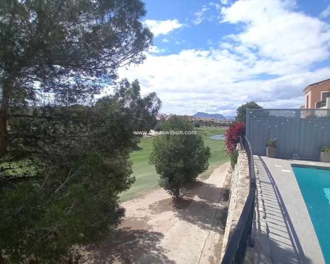 Image No.6-Villa de 4 chambres à vendre à Algorfa