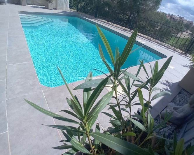 Image No.7-Villa de 4 chambres à vendre à Algorfa