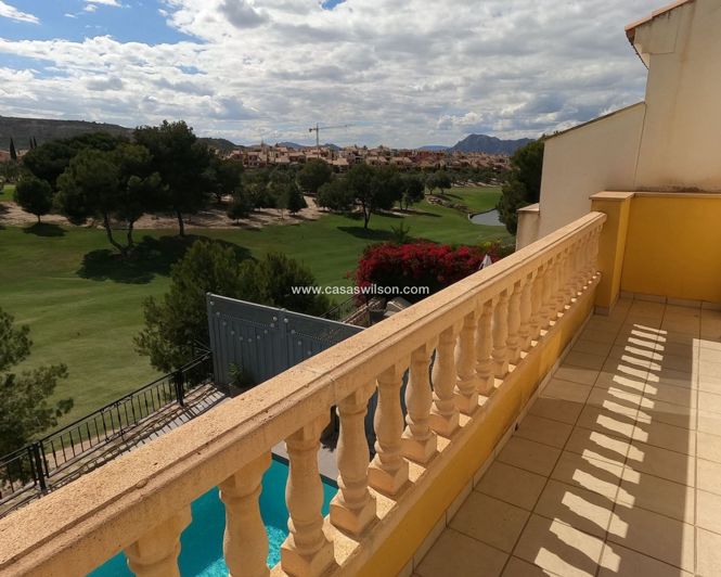 Image No.24-Villa de 4 chambres à vendre à Algorfa