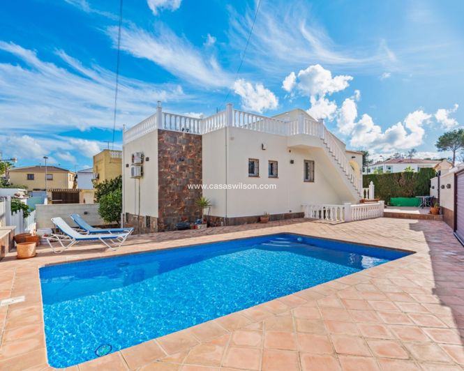 Image No.1-Villa de 3 chambres à vendre à Torrevieja
