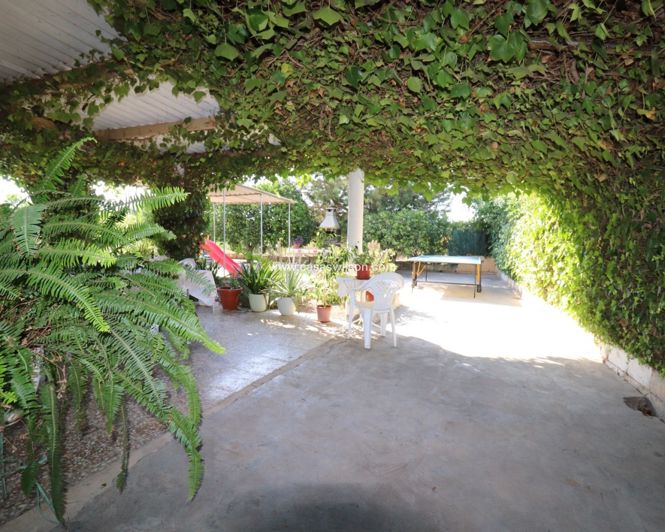 Image No.1-Propriété de 2 chambres à vendre à Albatera