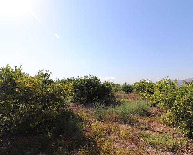 Image No.17-2 Bed Property for sale