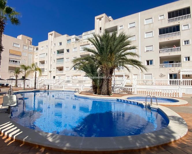 Image No.45-Appartement de 4 chambres à vendre à Guardamar del Segura