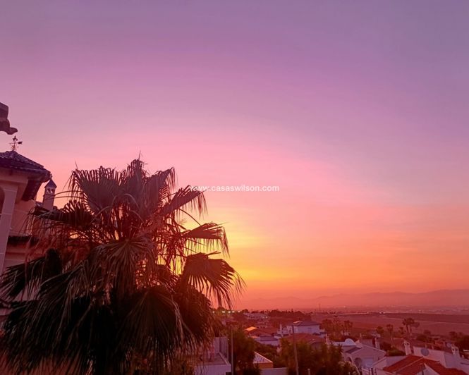 Image No.44-Villa de 3 chambres à vendre à Algorfa
