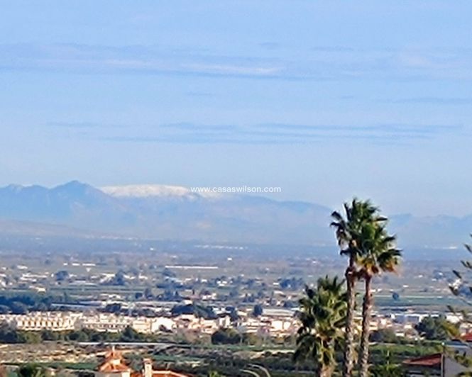 Image No.45-Villa de 3 chambres à vendre à Algorfa