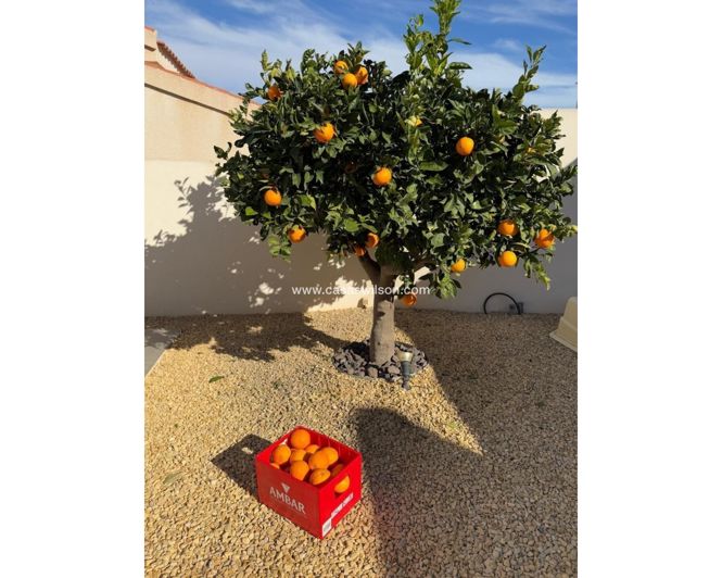 Image No.19-3 Bed Villa for sale