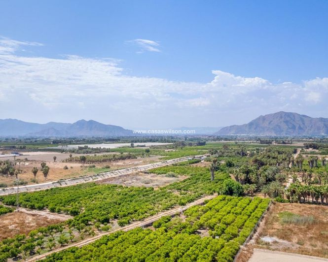 Image No.26-Appartement de 3 chambres à vendre à Jacarilla