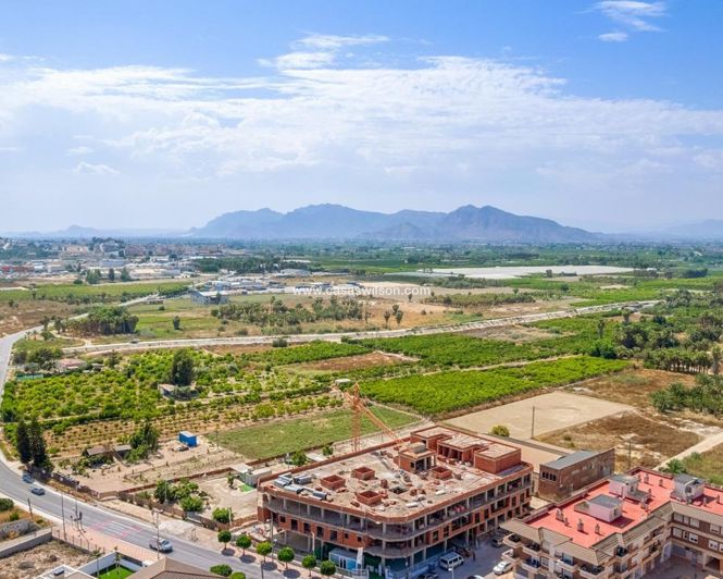Image No.30-Appartement de 3 chambres à vendre à Jacarilla