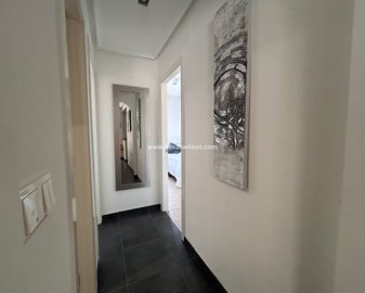 529495xl