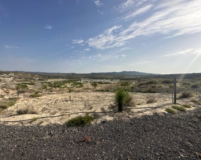 Image No.1-Land for sale