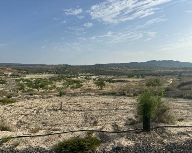 Image No.2-Land for sale