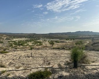 Casas Wilson most sold property