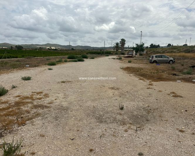 Image No.3-Propriété à vendre à Torremendo