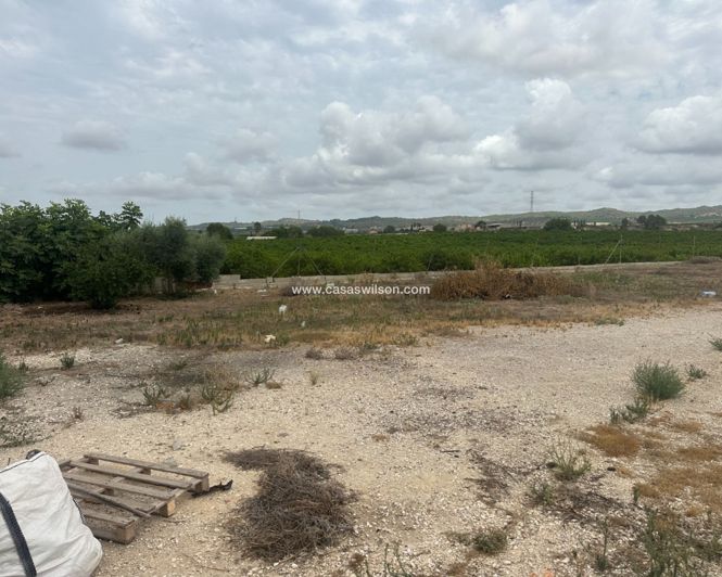 Image No.4-Propriété à vendre à Torremendo