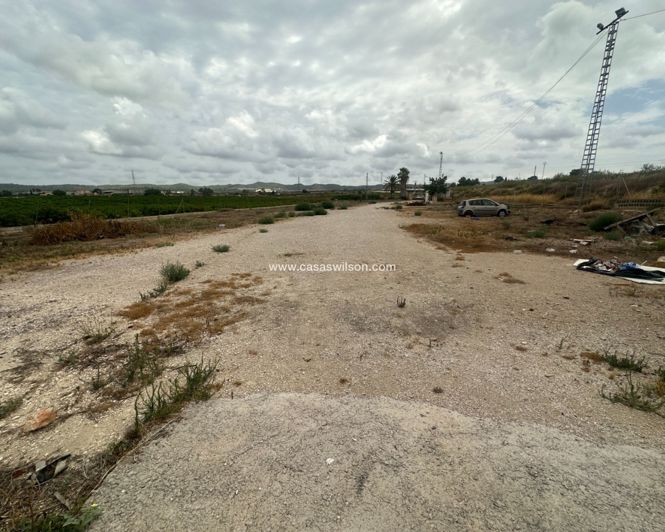 Image No.5-Propriété à vendre à Torremendo