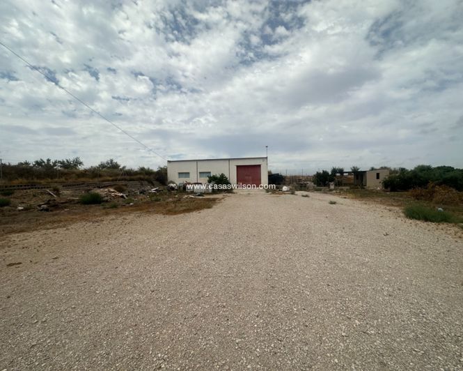 Image No.6-Propriété à vendre à Torremendo